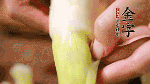 茭白剝去外殼，先切片再切絲。