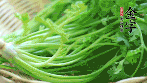 挑選鮮嫩的香菜，洗干凈后，處理成小段。